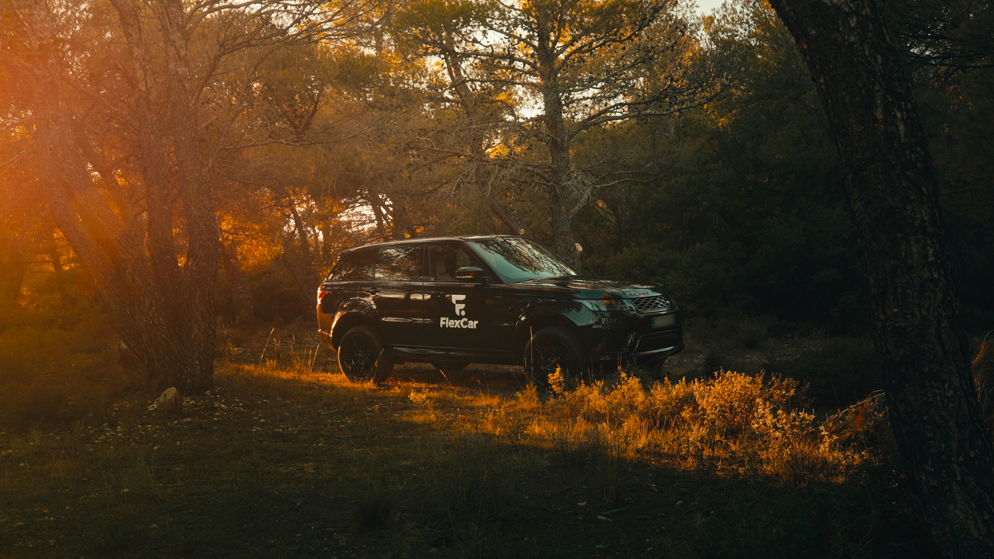 Automotive